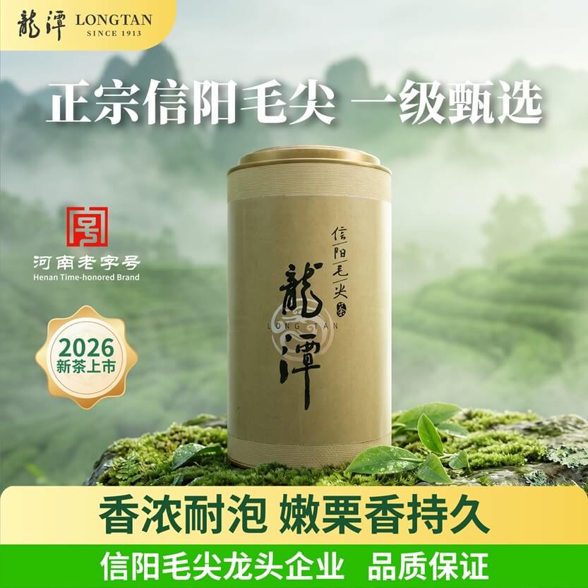 信阳毛尖